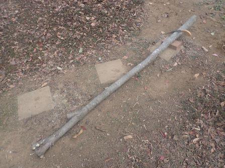 山法師の幹を剪定鋸で切断、切り易いようにレンガを噛まして、高さをとる