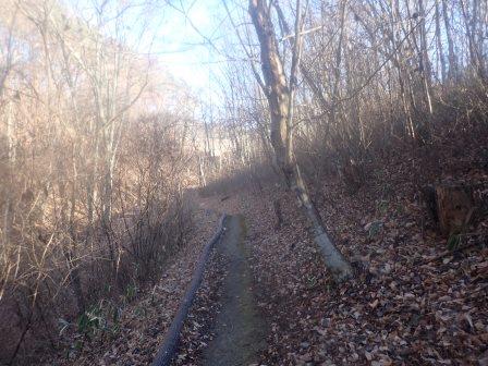 梅之木遺跡公園　川岸の敷石遺跡に至る通称「縄文の道」