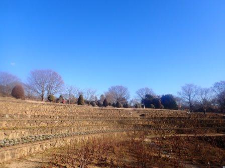 ハイジの村　冬枯れのバラ園