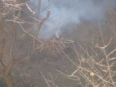 3日続けての焚火にあきれる