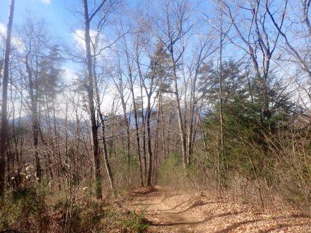 10:22　マウンテンバイクコース、チェーンソーで森を整備していた人の車2台駐車