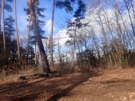 11:21　富士見喫茶の道の向こうにもベンチ、駐車場に向かう