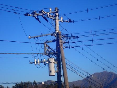 昨日、隣家の方が依頼した、電線の鳥除けワイヤーを、関電工が数台の車で来て設置