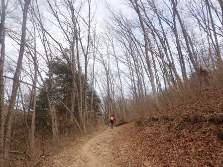 13:31　葉を落とした椚の林を行く