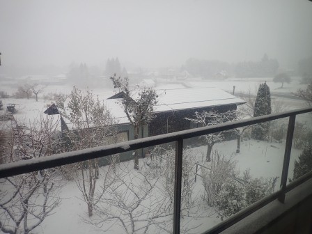 昨日3月4日（火）午後5時、ベランダより