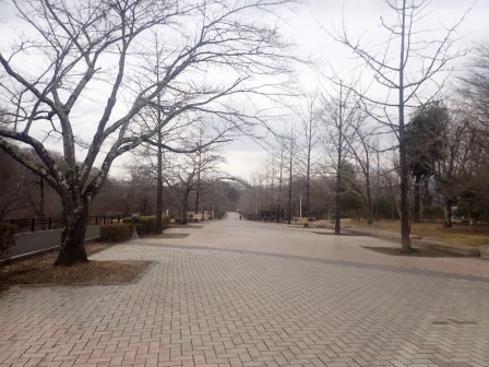 14:47　秩父ミューズパーク　南北を貫く6ｋｍ長のメインロード、南口に向かう