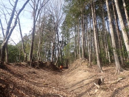 9:38　雑木林と植林地の間を行く