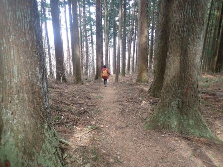 12:38　両神神社奥社でコーヒーと総菜パンで休憩後、周回コースの鳥居山コースへ