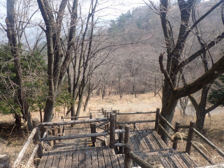 10:02　自由広場に向けて登って来た木の階段を見下ろす