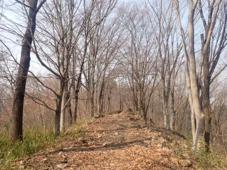 10:12　中の平へ