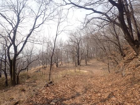 10:50　石の道の広場