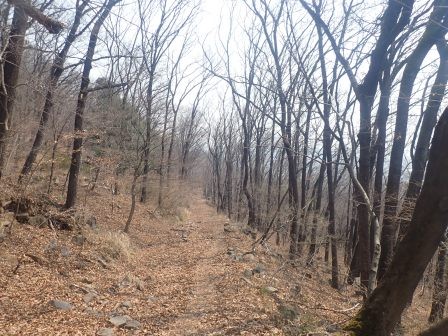 11:09　かなり下ったので、徐々に上りあがって行く