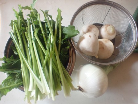 千枚漬け用に蕪4個収穫、玉葱の試し抜き1個、初収穫