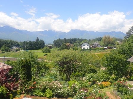 臨家の薔薇の香、水の張られた水田、南アルプス