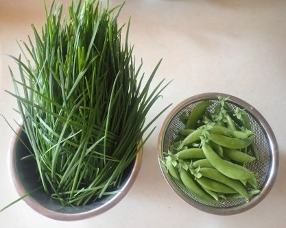 韮とスナップエンドウ