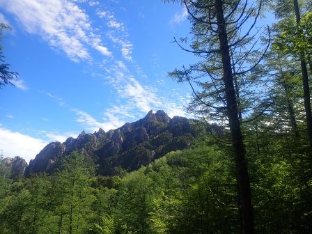 8:33　ベンチがあり、瑞牆山の眺望	
	 title=