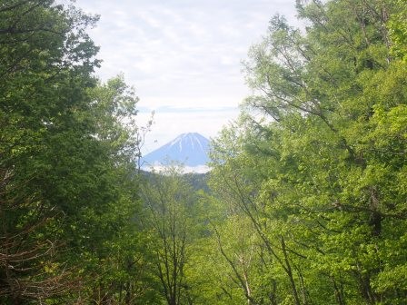8:52　冨士見平小屋から見た富士山