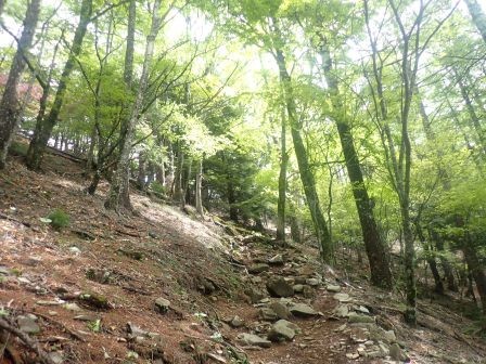 9:03　石が敷き詰められた山道を行く