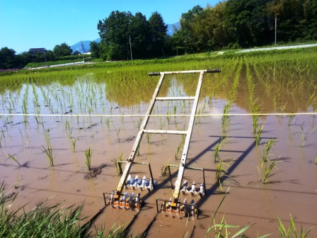 田の東西方向の担当区画の手押し除草、朝9時から1時間程で終了