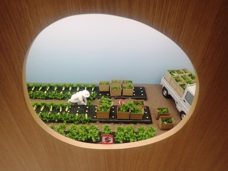 ジオラマ風に作られた野菜畑が手作り感があって中々良い