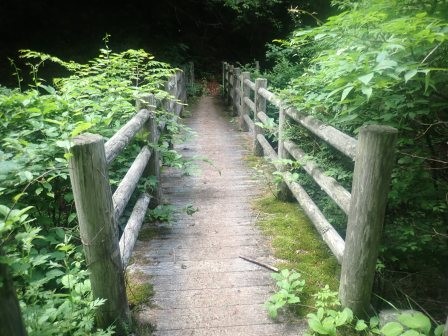 9:30　三味線滝の手前にある橋