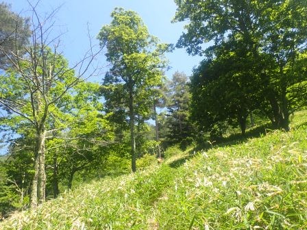 10:53　元来た道を目指して、北に登って行く
