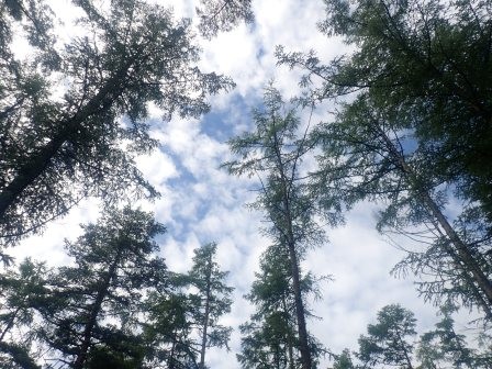 8:25　青空が覗く