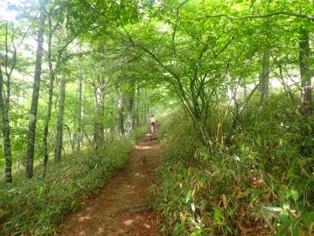 8:48　木漏れ日を行く