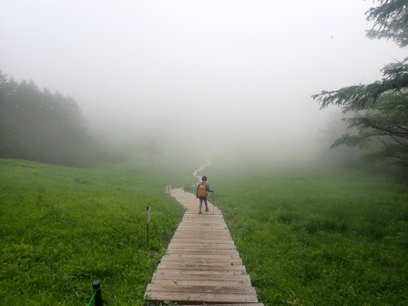 10:40　入笠湿原に戻って来た、湿原に降りて行く