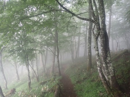 11:41　休憩を取ったテラスを後にする