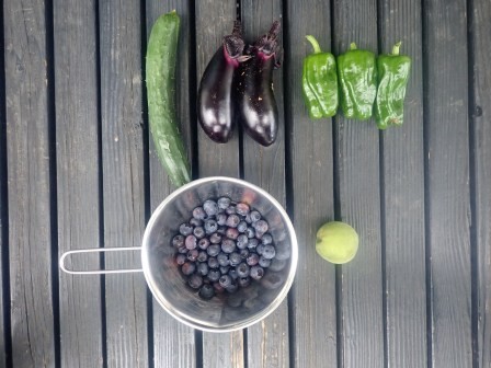 家に帰って、今日の収穫