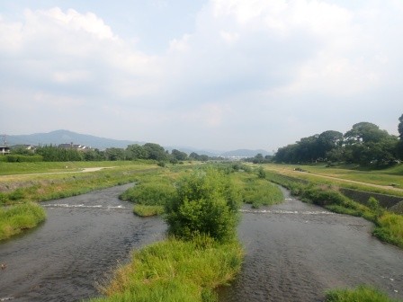 7月1日（火）15時半頃、北大路橋より鴨川南方面の景色