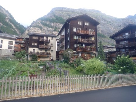 6:28　朝の散歩　道を入ると結構家庭菜園がある