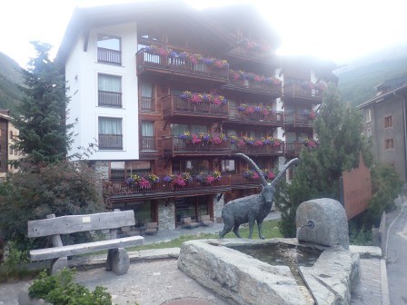 6:39　朝の散歩　水場は色々なあしらい