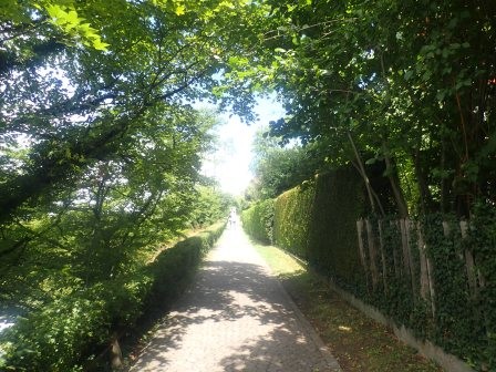 13:43　バラ園へ向かう坂道