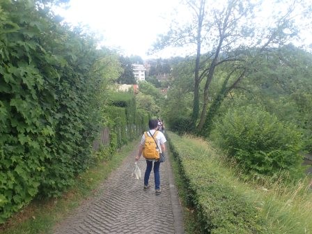 14:47　バラ園の石畳の坂道を降りる、手前の方が高くなっていて、引っかかるように石が埋められていた