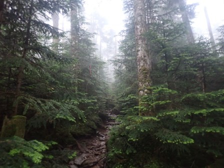 6:45　霧の中を行く