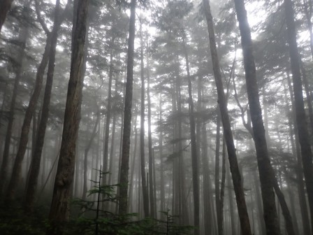 7:00　等伯の松林図屏風の世界