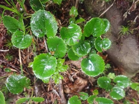 7:31　水に輝く岩鏡