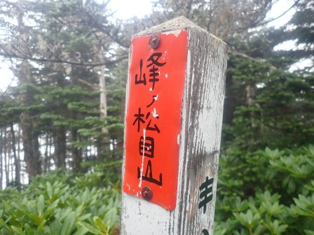 7:56　眺望はない峰の松目山山頂