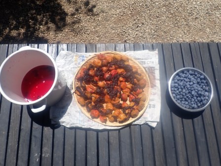 梅干の天日干し、ブルーベリーはボール一杯