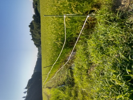 朝飯前、田の東の畔の草刈り