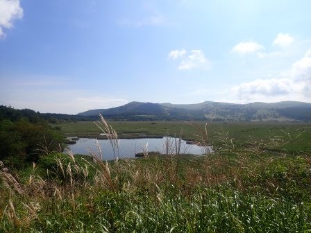9:07　八島ヶ池にススキ、秋の気配
