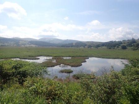 9:12　鬼ヶ泉水（おにがせんすい）	
	 title=