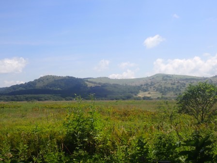 10:29　ベンチとテーブルで一休憩、眼前には湿原、ゼブラ山、北の耳、南の耳の眺望