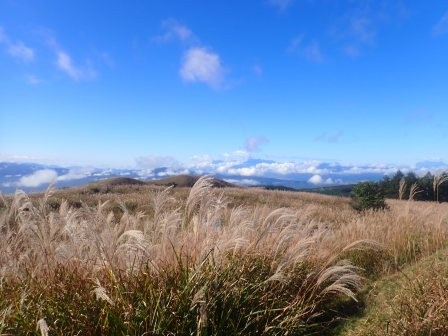 8:37　長野県諏訪市　車山肩・沢渡・八島ヶ原湿原　車山肩手前の富士見台で途中下車