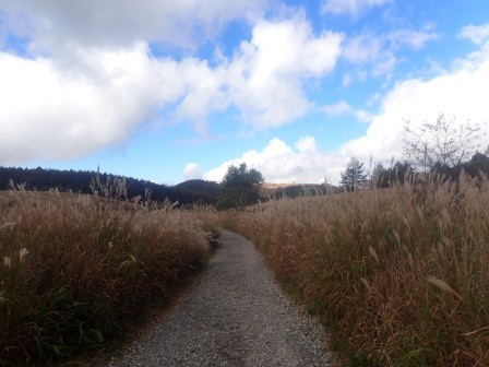 9:55　ススキの原を行く