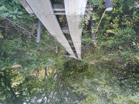 10:45　八島ヶ池近くの木道、間もなくベンチがある
