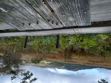 10:55　コーヒーを淹れ、パンを炙って一休憩、北の耳と南の耳の眺望