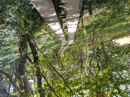 11:25　木漏れ日のさした木道